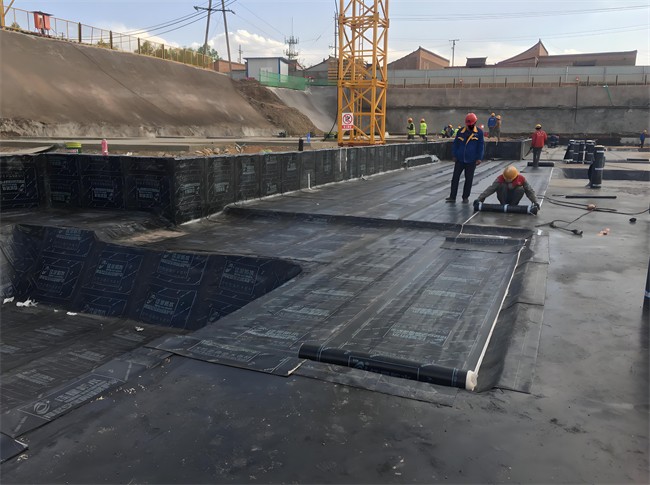 1723776683792913.jpg c595fc9d-89a5-4db8-a7c1-25b2d963bfba.jpg